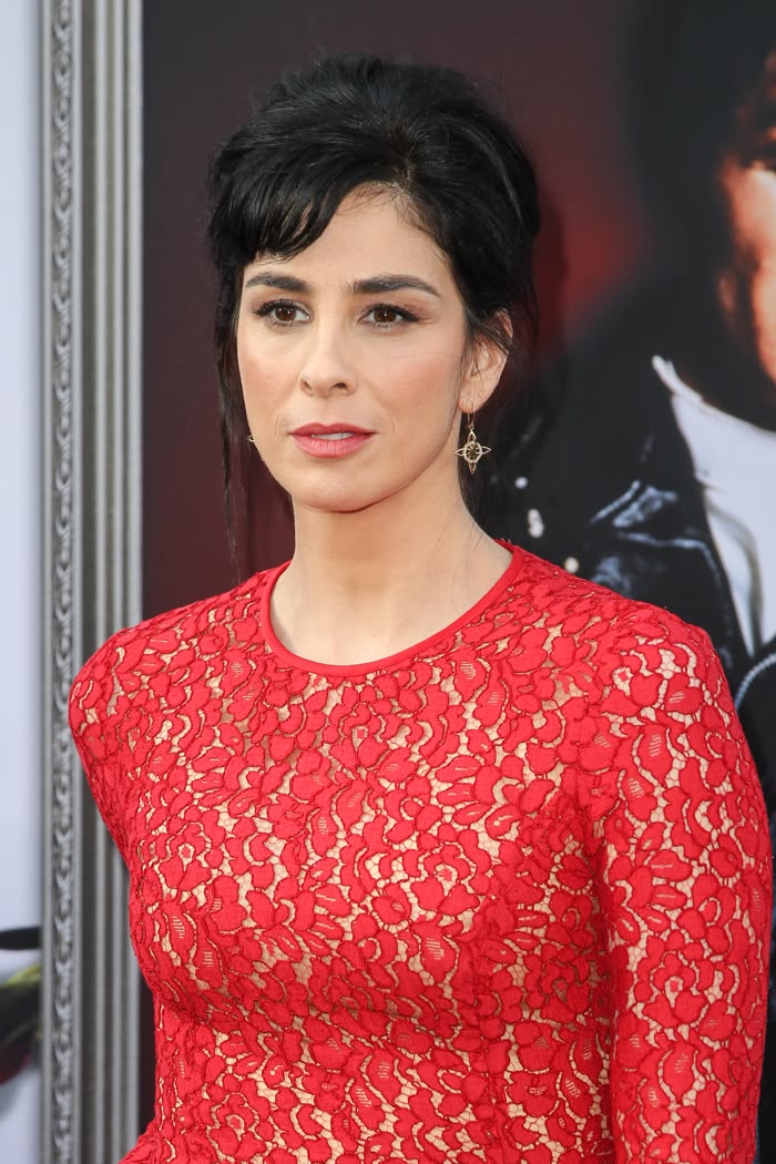 Media for Sarah Silverman
