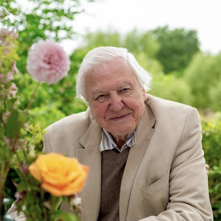 David Attenborough