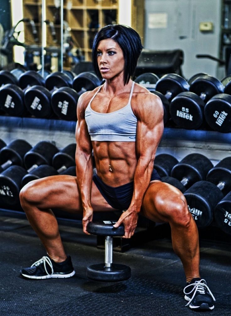 Media for Dana Linn Bailey 