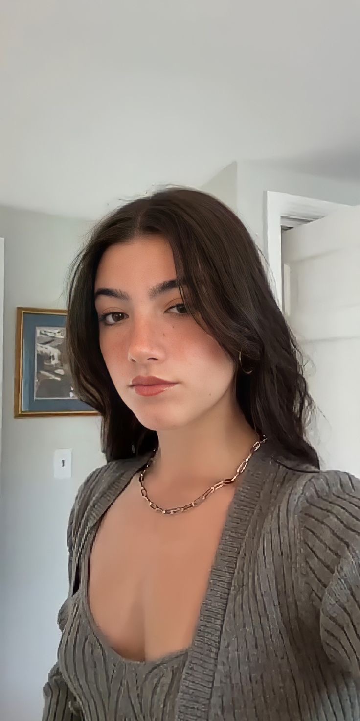 Media for Charli D’Amelio