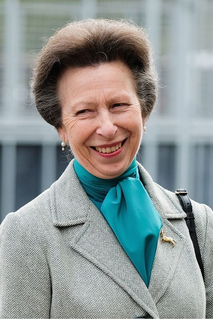 Media for Princess Anne